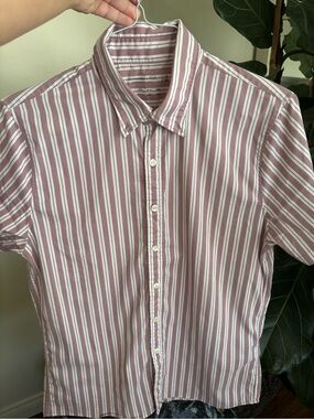 Abercrombie & Fitch Mauve and White Striped Short-Sleeve Button-Down